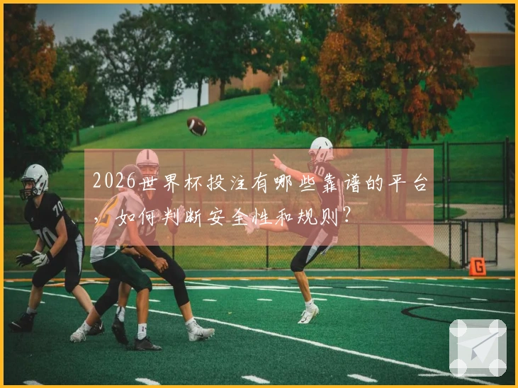 2026世界杯投注有哪些靠谱的平台，如何判断安全性和规则？